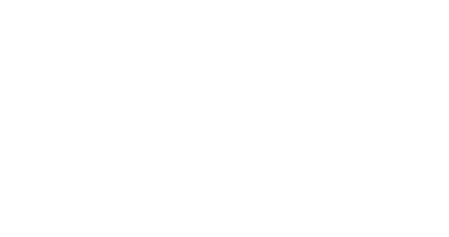 B.A.S.S. Logo